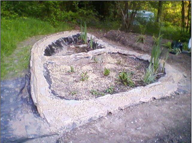 The bog garden as of 18/5/10.