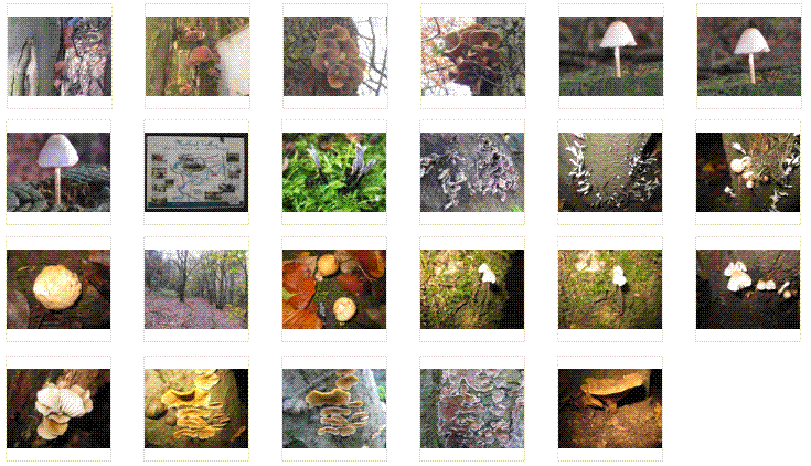 Click on an image to expand