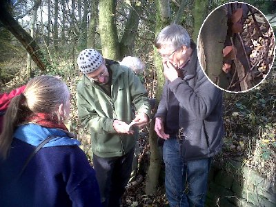 Upon checking the 'bible' of mushrooms,Nigel tells us it is 'Jews ear fungus' (inset).