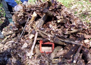 The entrance is just visible beneath the logs and leaf litter.