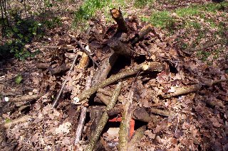 Hopefully it is well disguised.