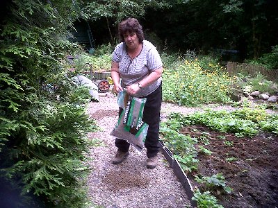 Meanwhile Katie refurbishes the paths with shingle.