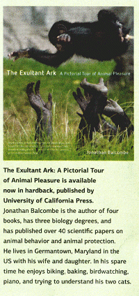 The Exultant Ark: A Pictorial Tour of Animal Pleasure is available now in hardback, published by University of Califomia Press. Jonathan Balcombe is the author of four books, has three biology degrees, and has published over 40 scientrfic papers on animal behavior and animal protection. He lives in Germantown, Maryland In the US with his wIfe and daughter. In his spare time he enjoys biking, baking, birdwatchlng, piano, and trying to understand his two cats.