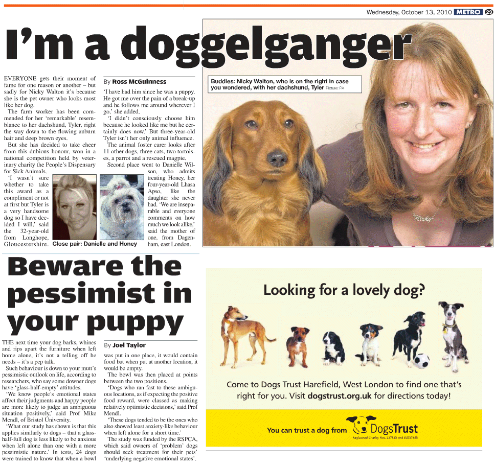 Click for more on Dogs Trust