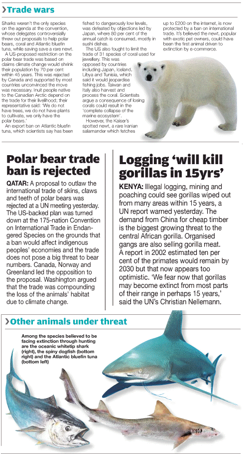 Click for more on Polar Bears