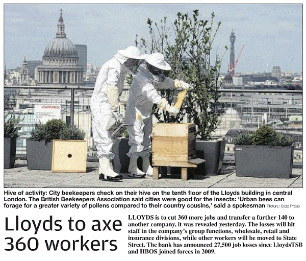If Lloyds axe 360 workers...the bees will just make more!