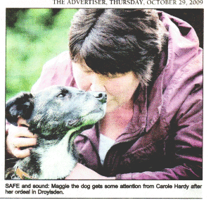 Safe and Sound:Maggie the dog gets some attention from Carole Hardy after her ordeal in Droylsden