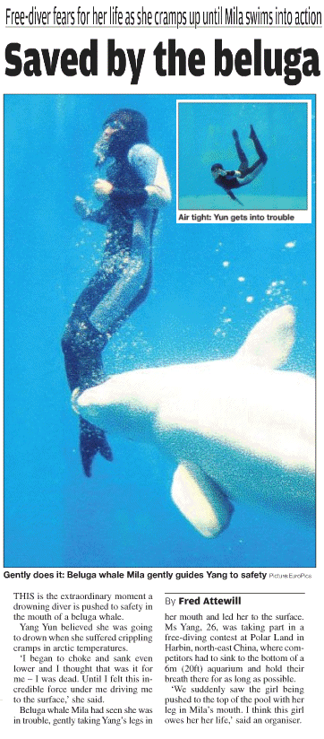 Click for more Beluga