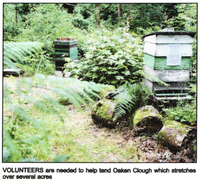 VOLUNTEERS are needed to help tend Oaken Clough which stretches over several acres