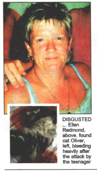DISGUSTED 	Ellen Redmond, above, found cat Oliver, let, bleeding heavily after the attack by the teenager