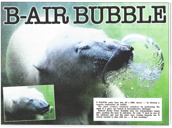 A playful polar bear lets of steam -by blowing a massive underwater bubble.
The giant creature surprised onlookers by performing the stunt in a glass zoo tunnel at Gelsenkirchen,Germany.
Retired doctor Peter Schmidt took the extraordinary snaps after spotting the bear in mid-blow. He said: 'I went to see one of the windows and saw the polar bear coming towards me. It clearly wanted to play with me - it was amazing.'