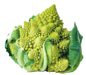 Broccoli Romanescu