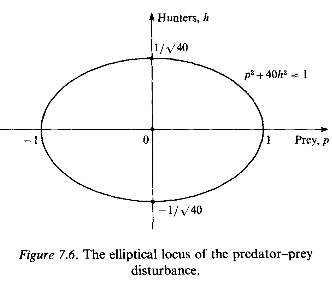Figure 7.6. The elliptical locus of the predator-prey disturbance.