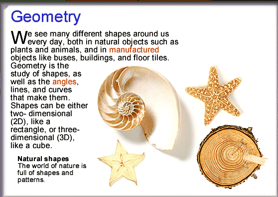 The natural world has many symmetries and geometrical forms such as the spirals of snails and Nautilus and the five-fold symmetry of the starfish.