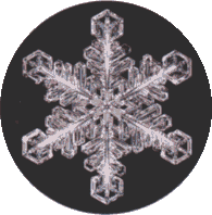 Hexagonal symmetry of a snowflake
