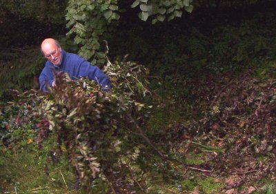Brian moves&nbsp;the branches Rick cropped from the trees.
