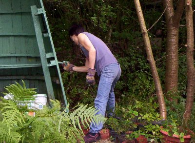 The boat seats are subject to some refurbishment.